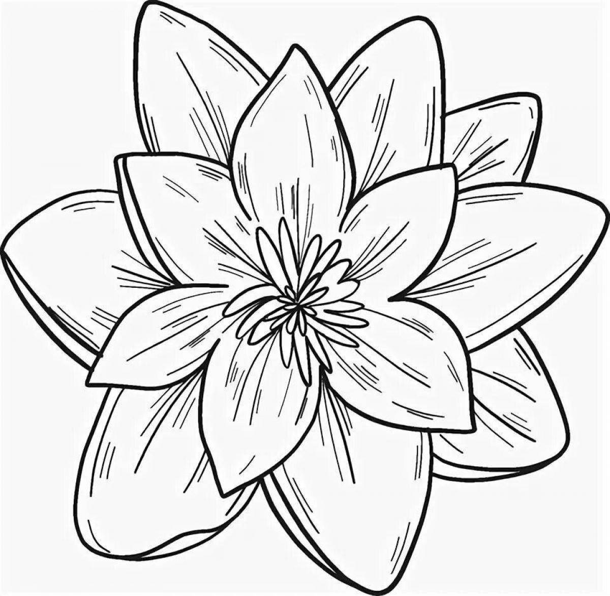 Magic lily coloring page