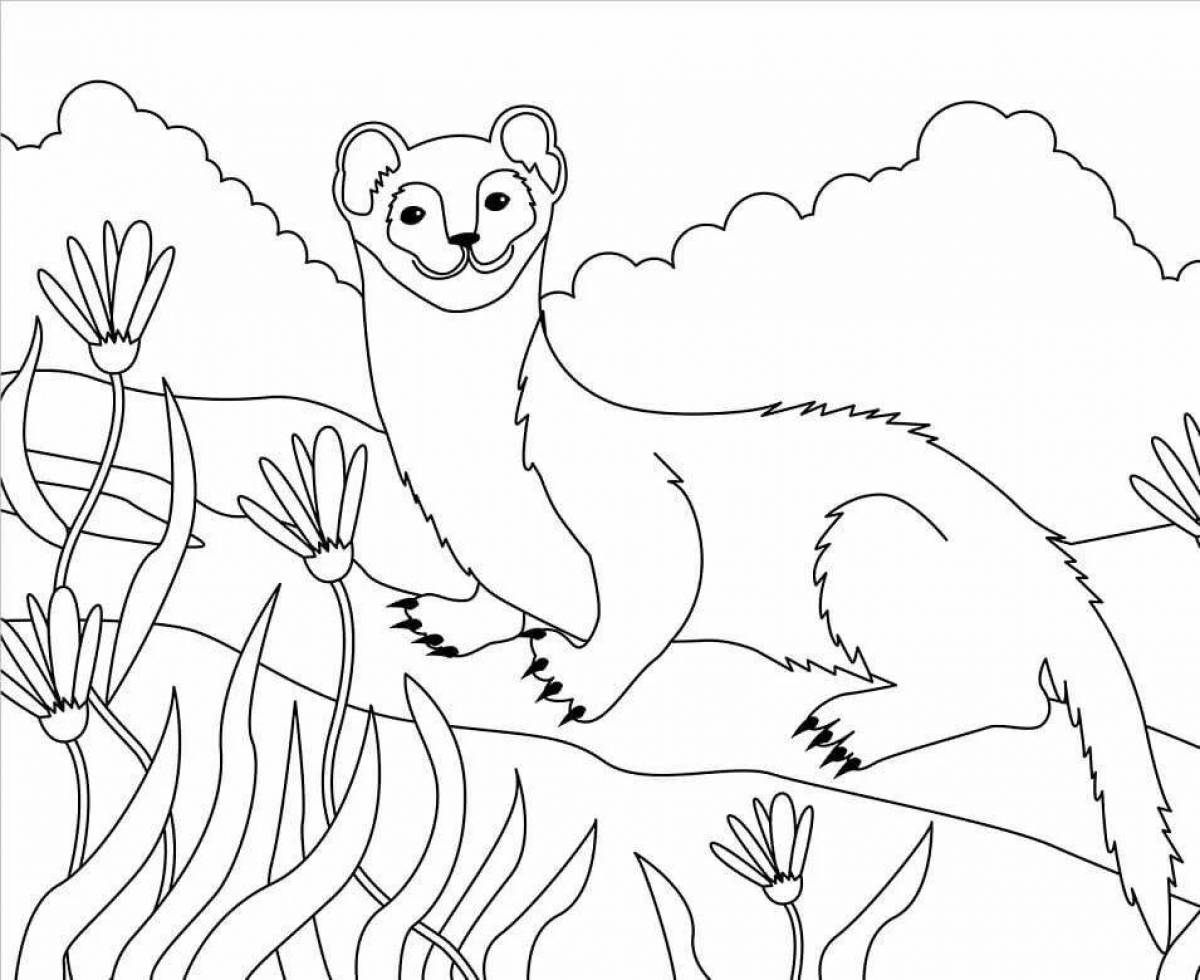 Charming weasel coloring book
