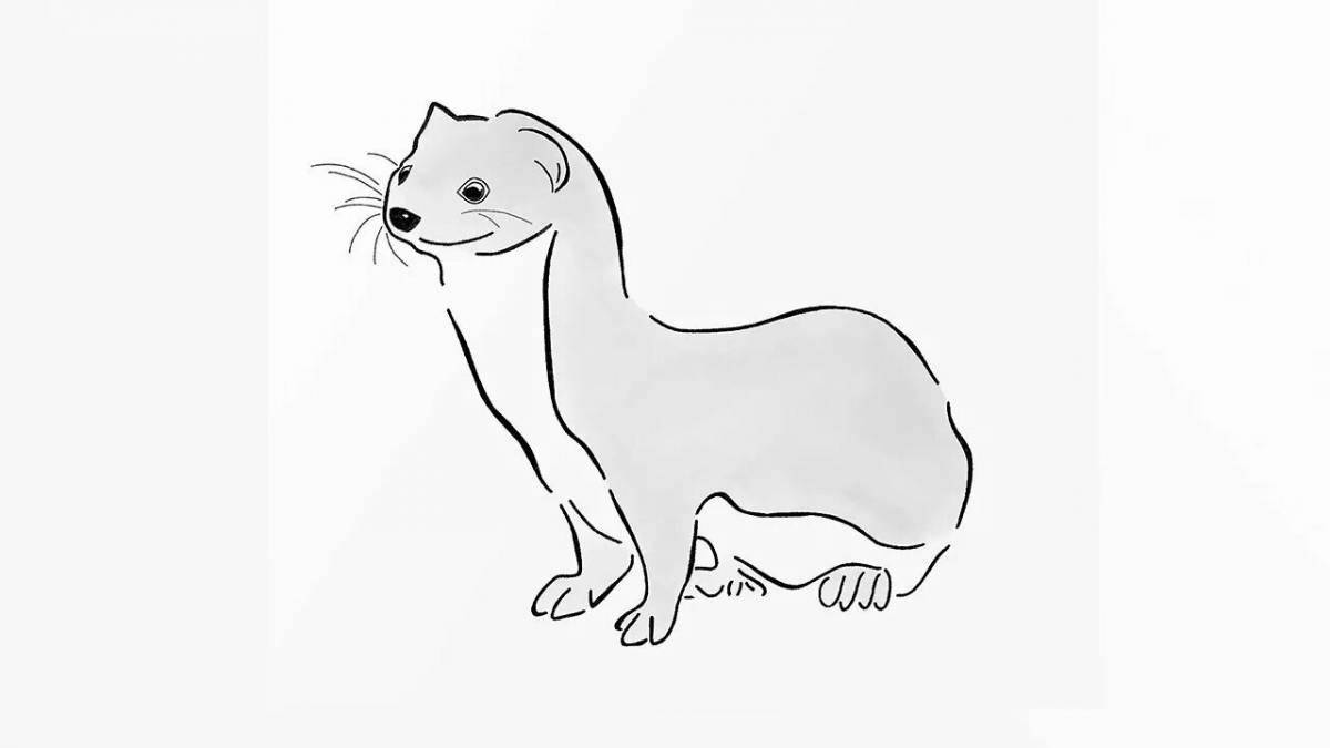 Colouring funny weasel