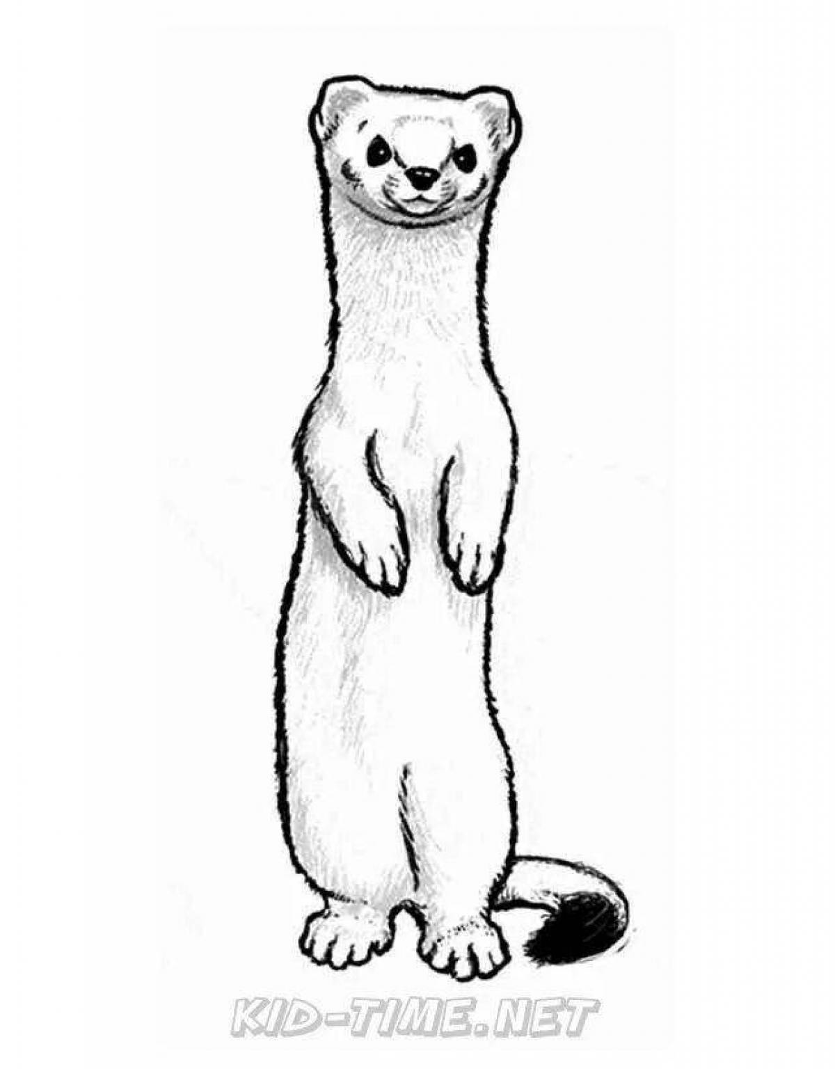 Cute weasel coloring page