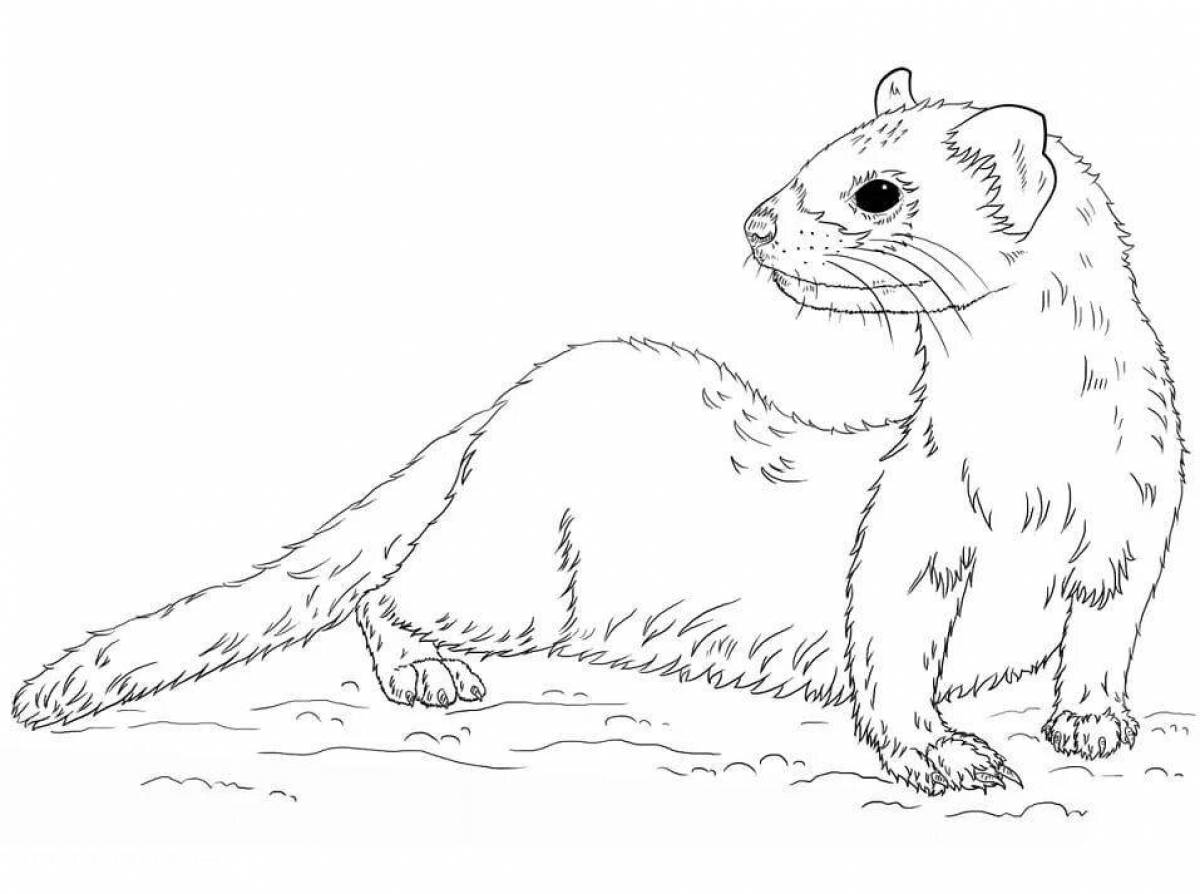 Coloring page happy weasel