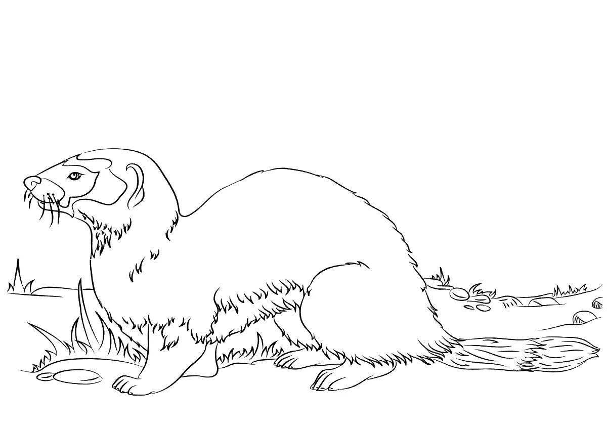 Coloring page mischievous weasel