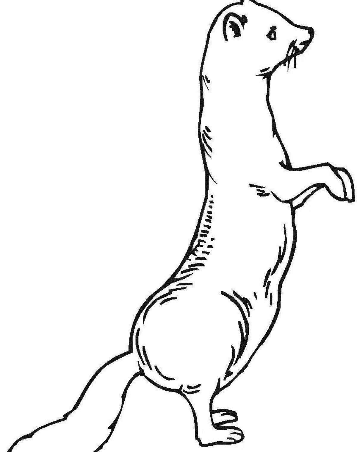 Adorable weasel coloring book
