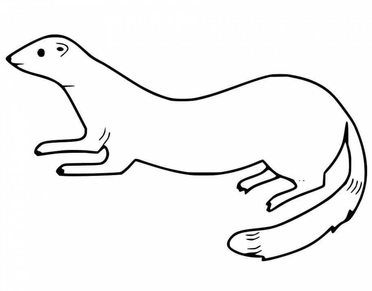 Exotic weasel coloring page
