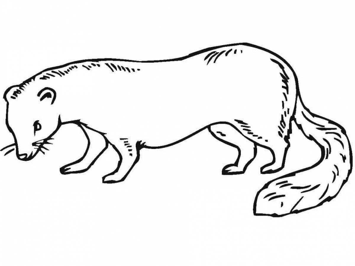 Coloring page graceful weasel