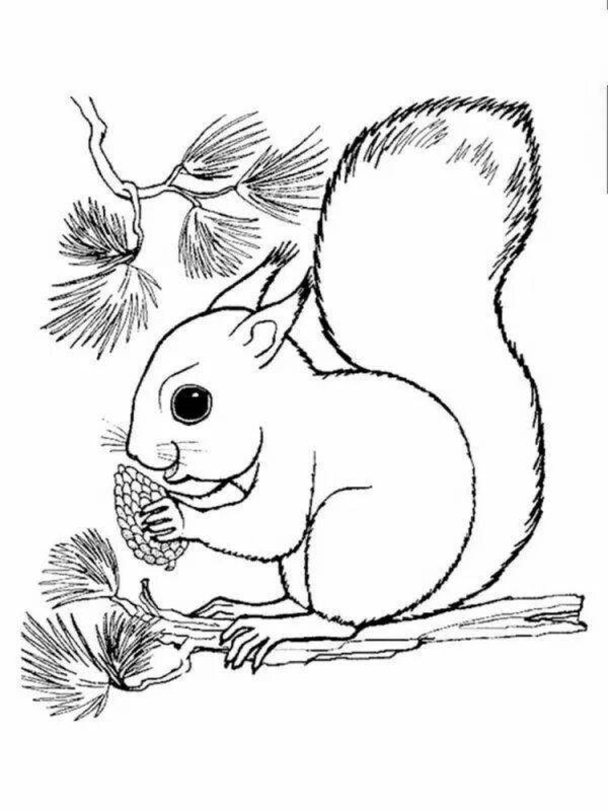 Witty squirrel coloring