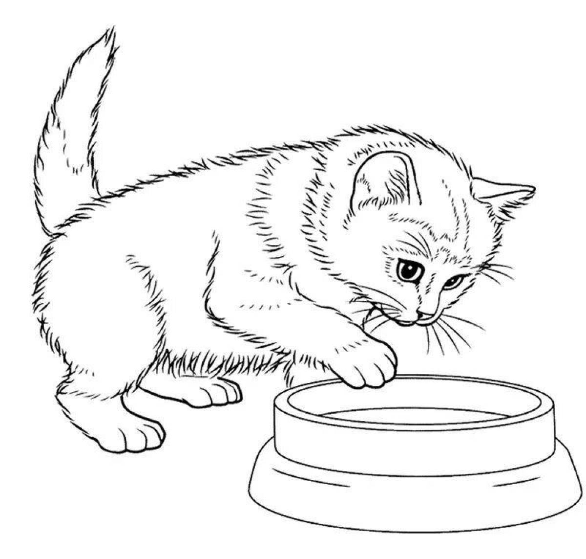 Attractive cat coloring page