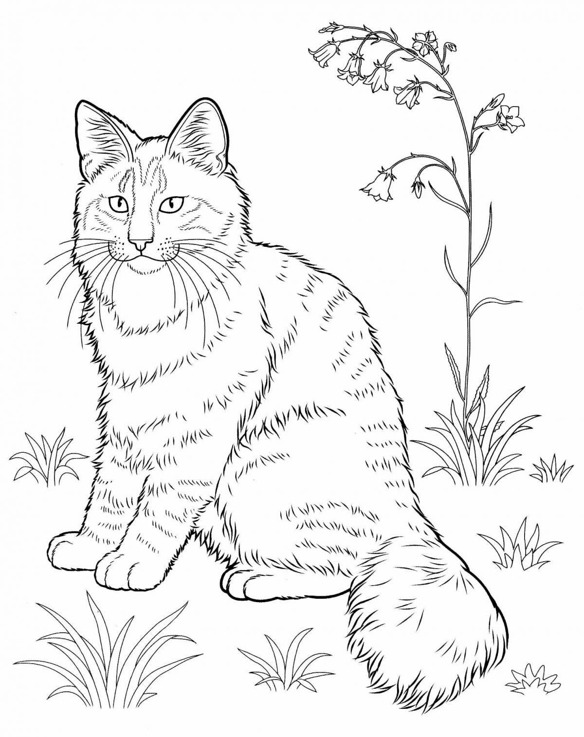 Alert cat coloring page