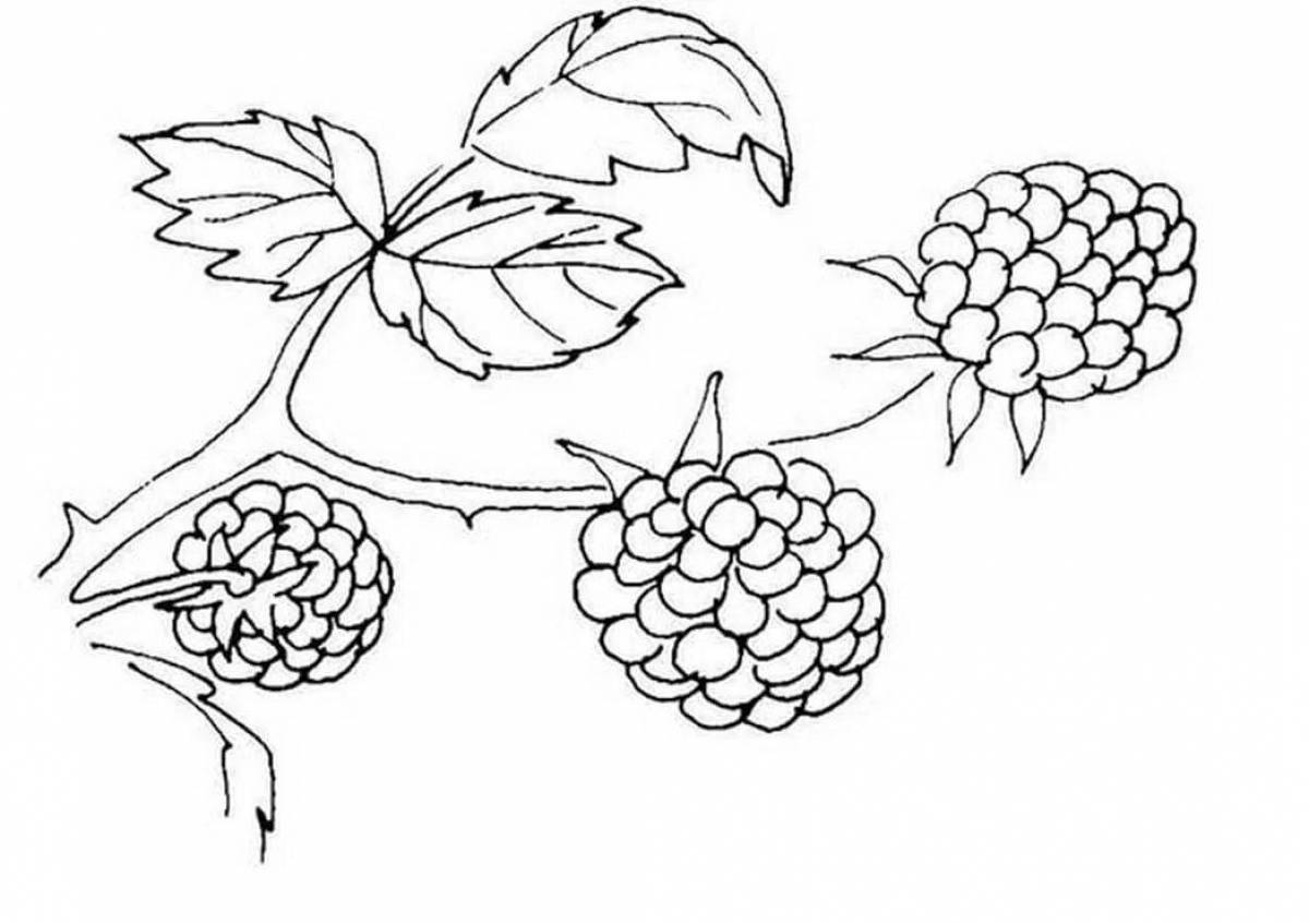 Coloring Sunny Berries for Kids