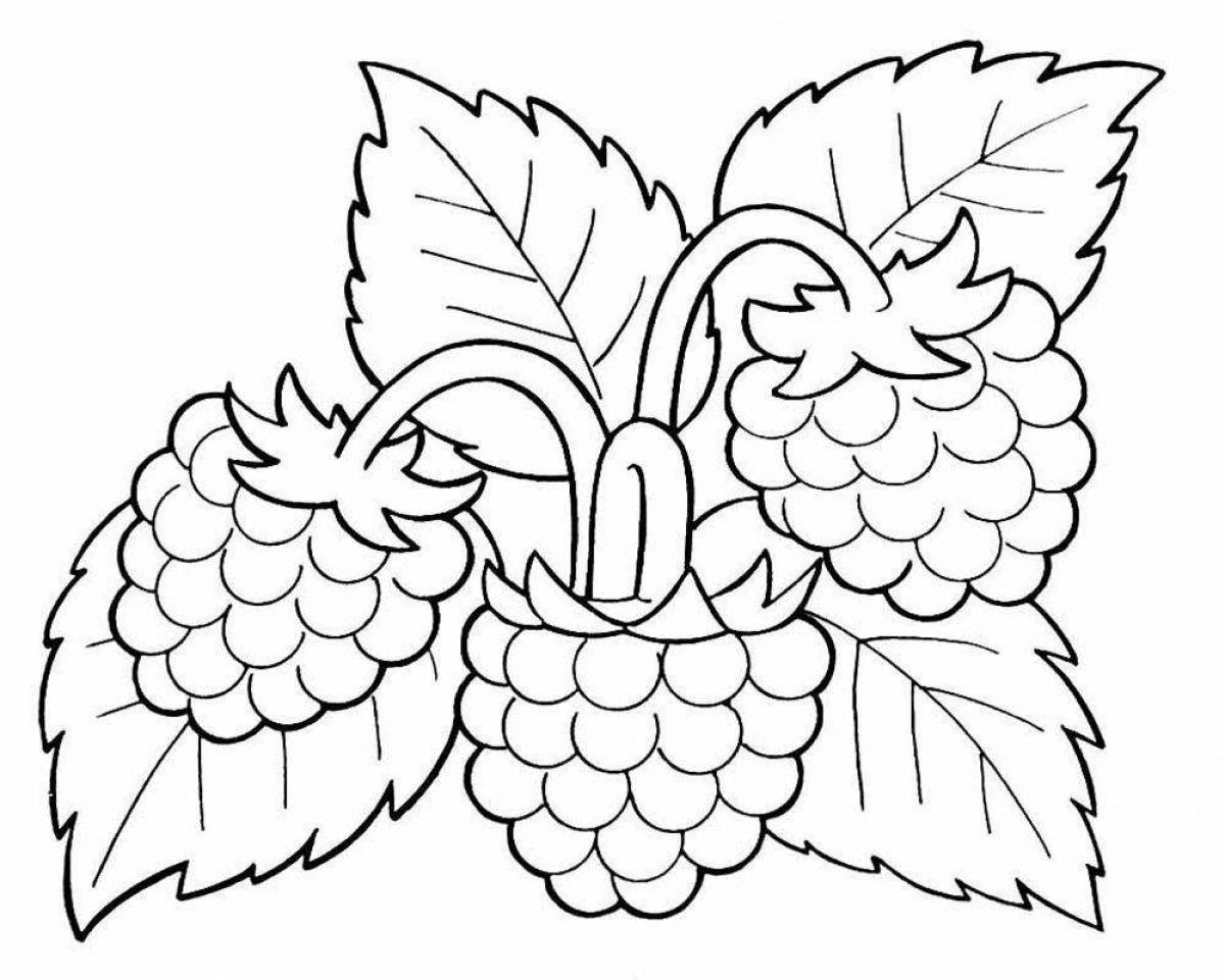 Gorgeous berries coloring book for kids