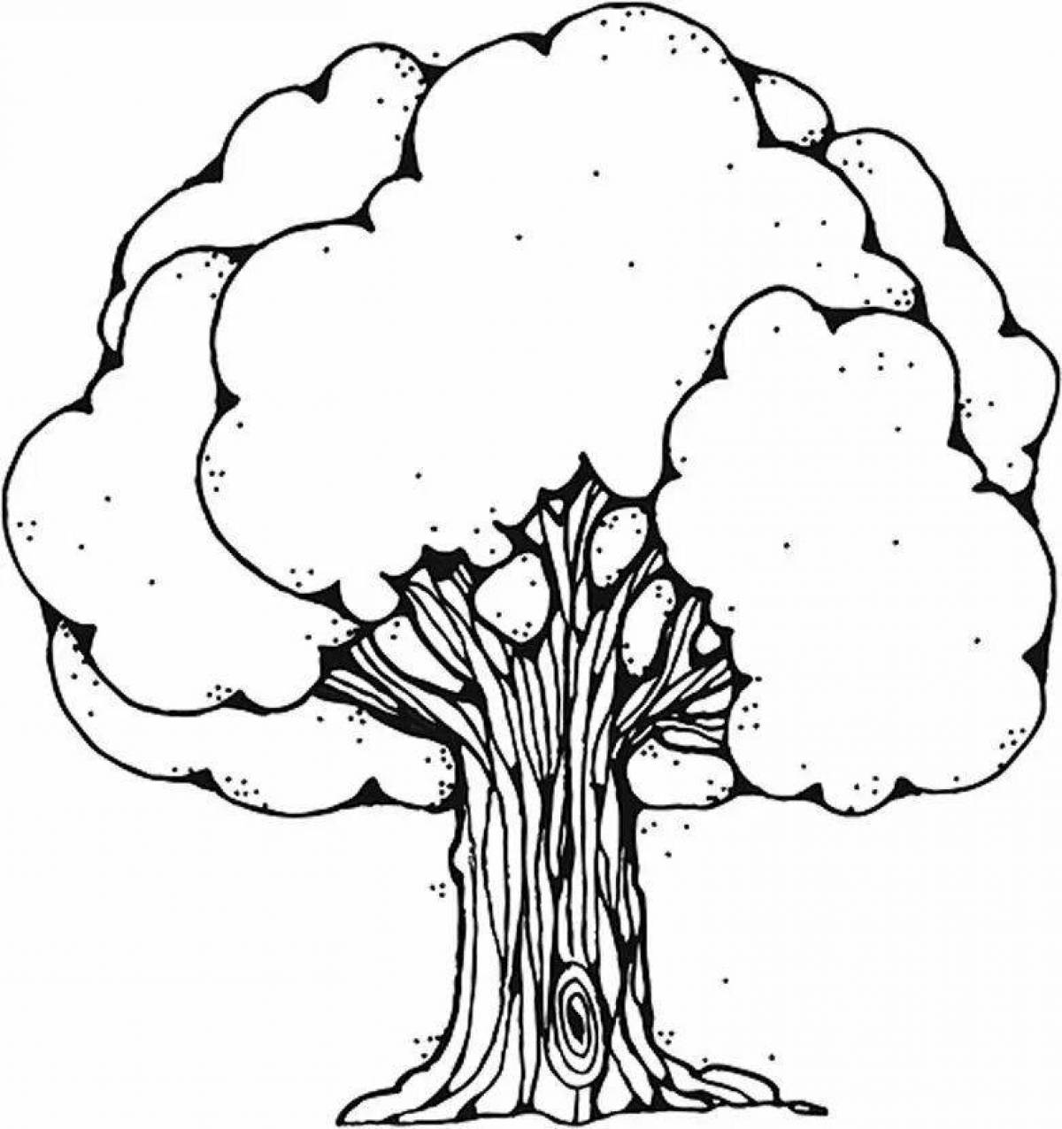Coloring page bright oak tree for kids