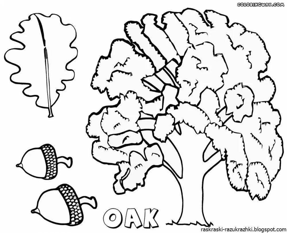 Cute oak tree coloring book for kids