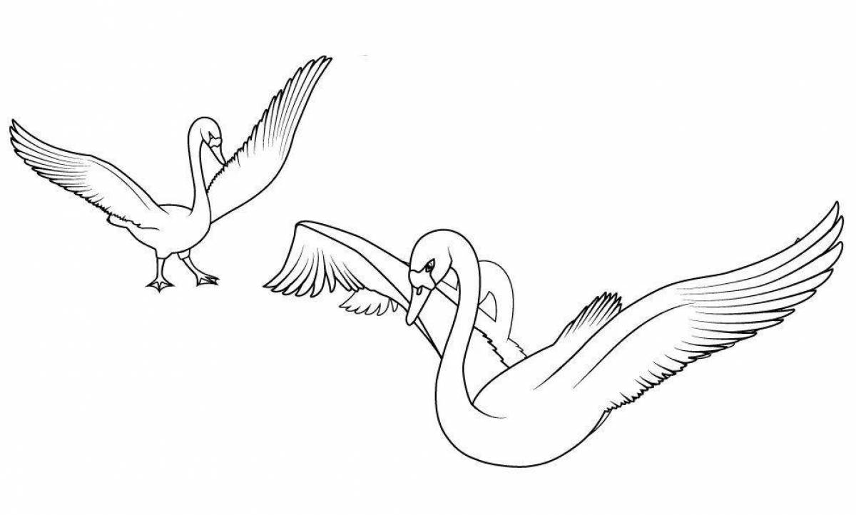 Раскраска лучистые гуси-лебеди для детей
