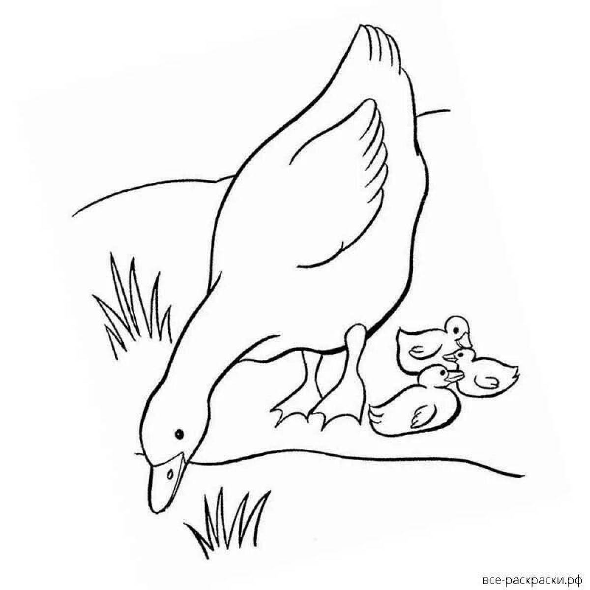 Веселые пришвинские ребята и утята