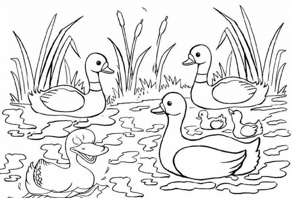 Joyful Prishvin guys and ducklings