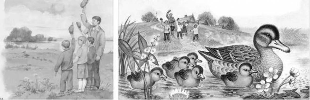 Брызги пришвинских парней и утят