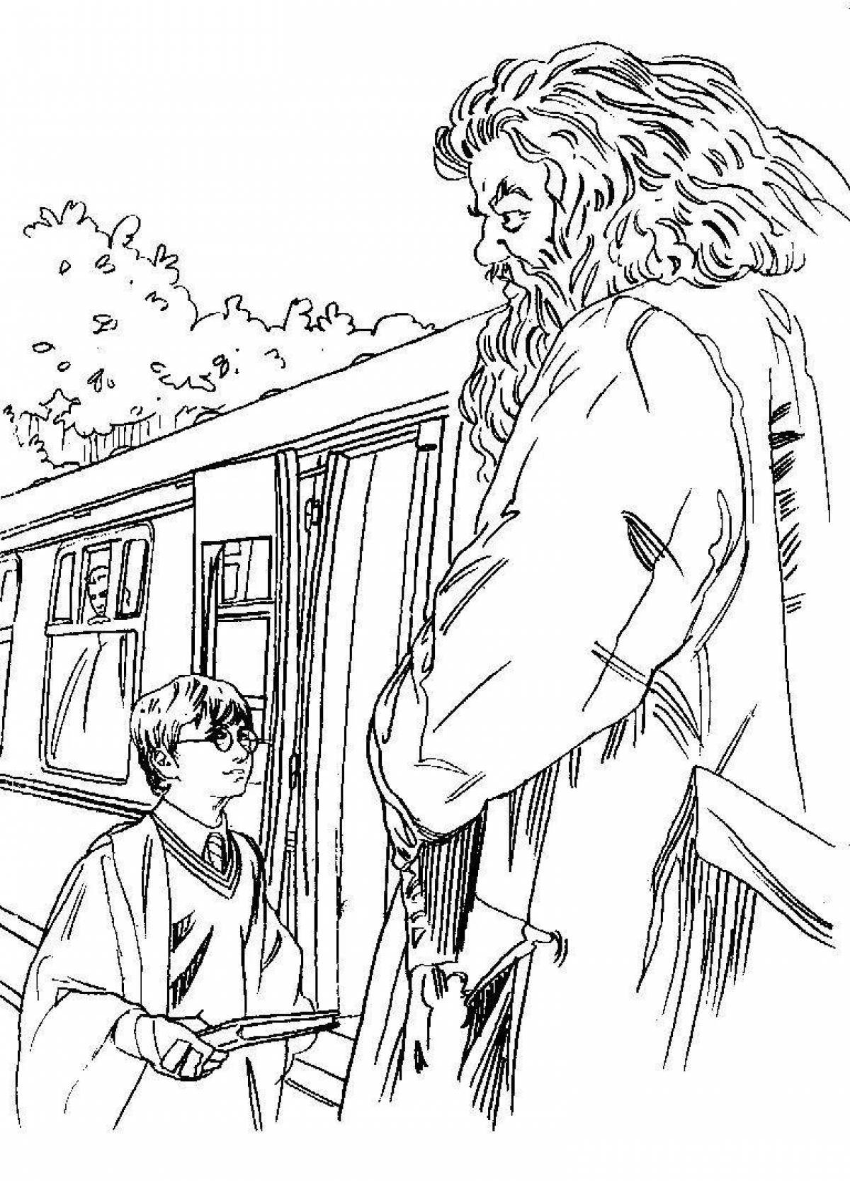 Charming harry potter and the philosopher's stone coloring book