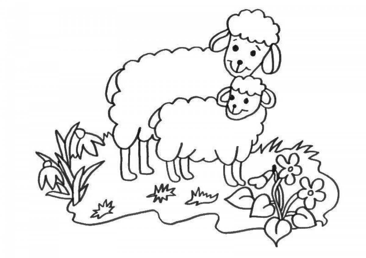 Sweet lamb coloring