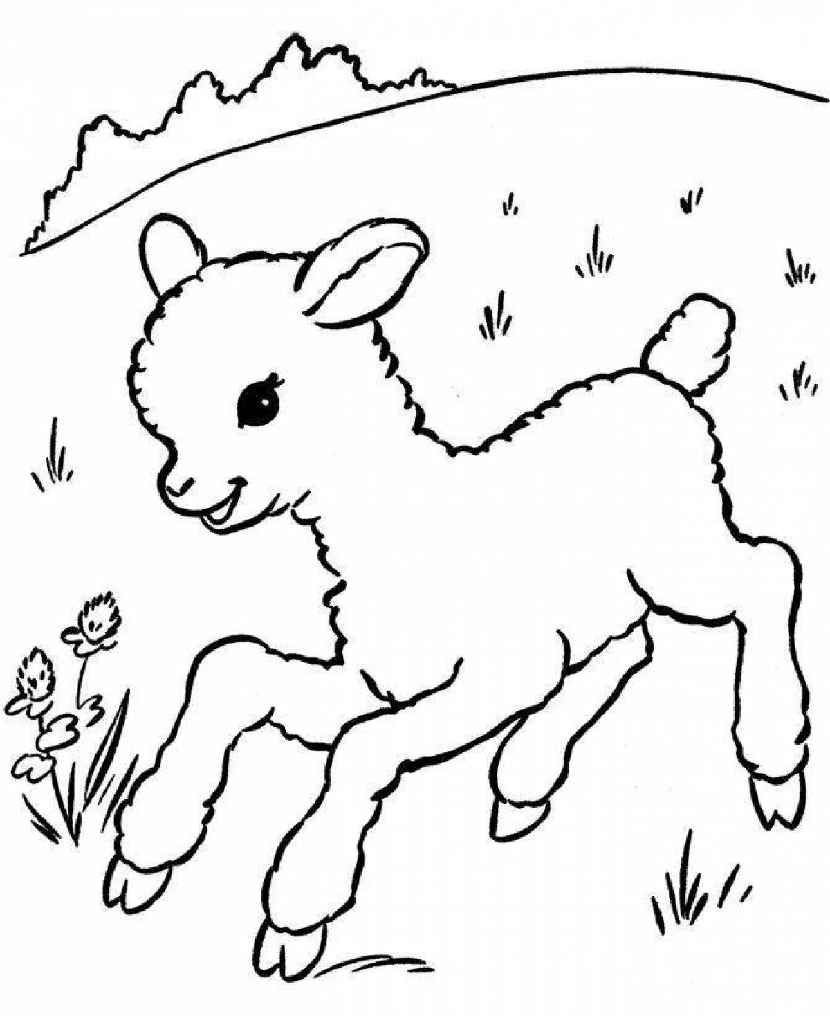 Delicate lamb coloring