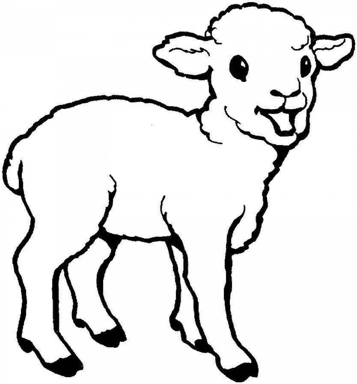 Fine lamb coloring