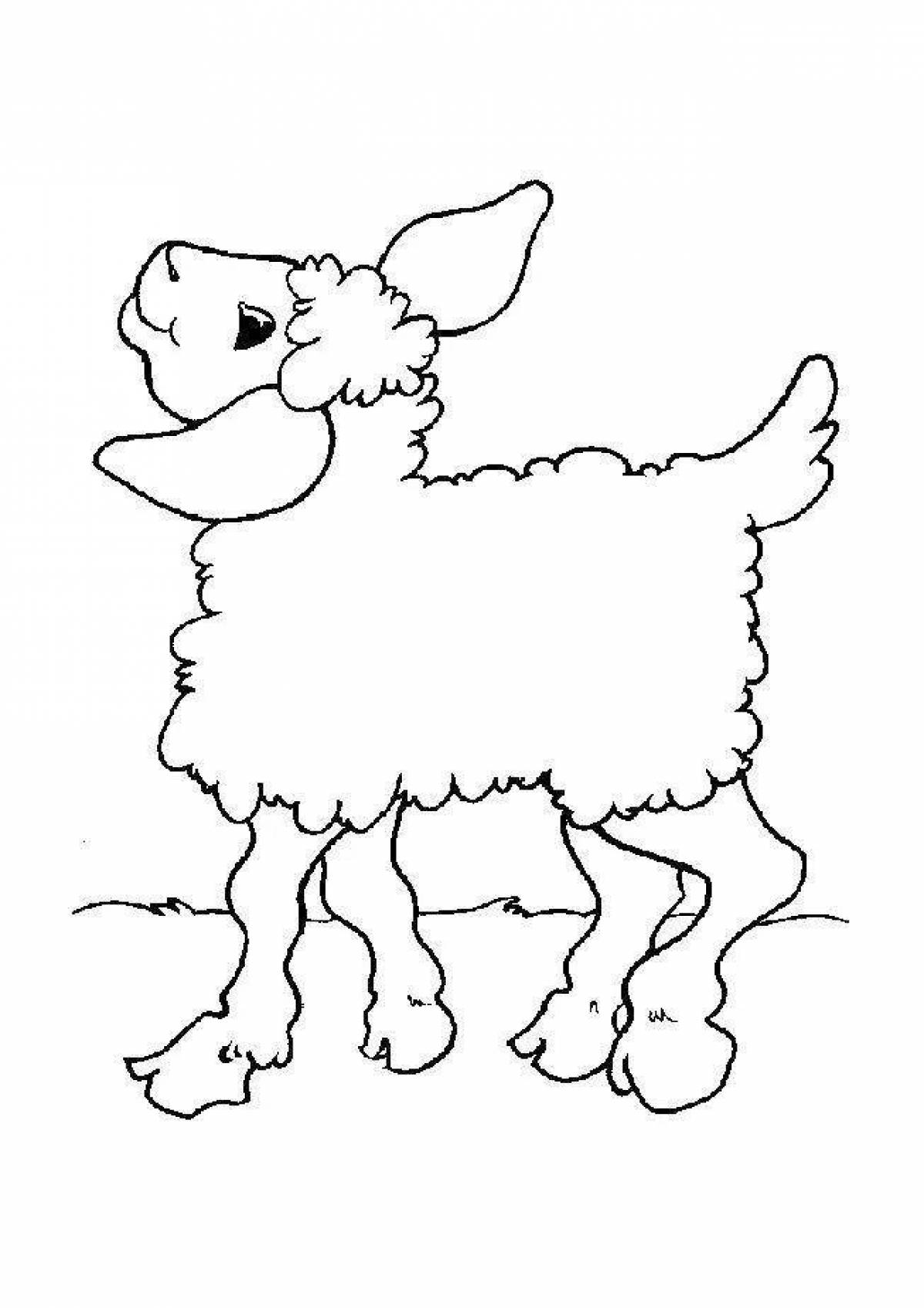 Elegant lamb coloring book