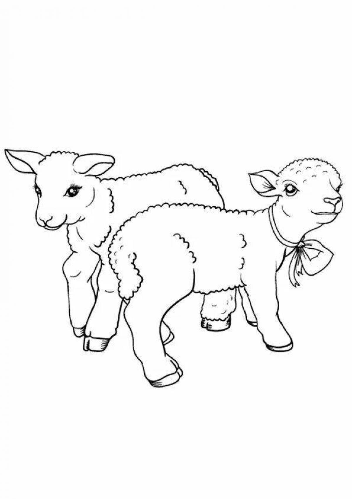 Fancy lamb coloring