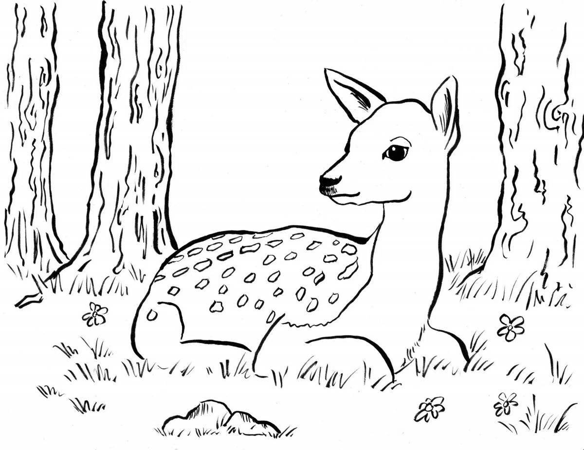 Adorable forest animal coloring book