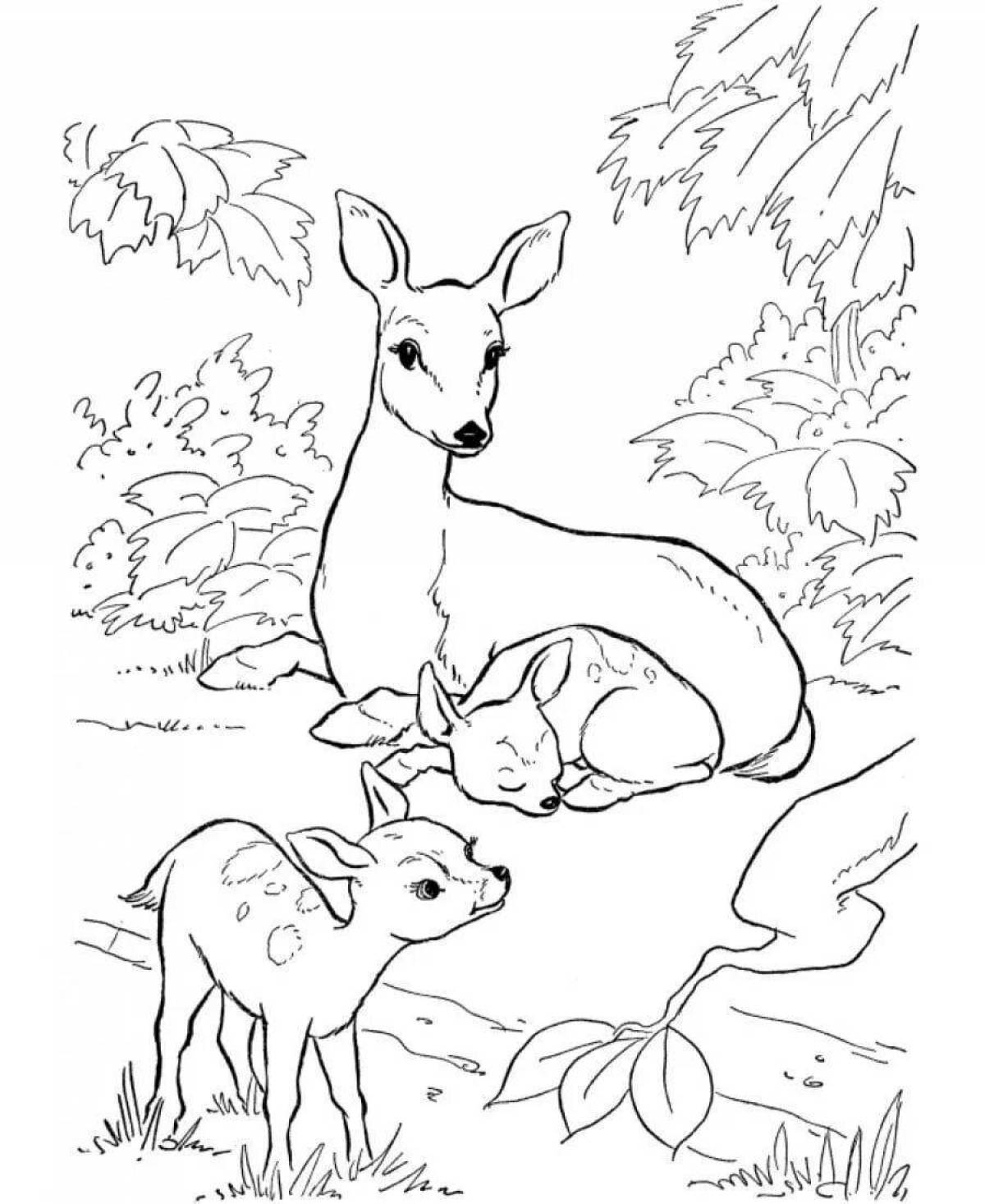 Animated forest animal coloring page