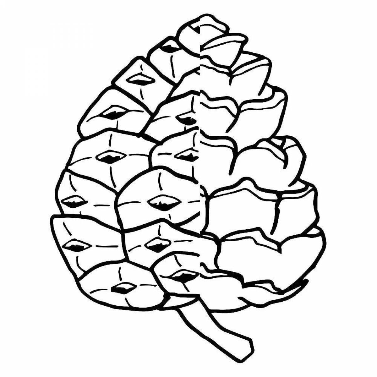 Раскрасим шишку. Шишки раскраска. Шишка для раскрашивания. Шишки раскраска для детей. Шишка раскраска для детей.