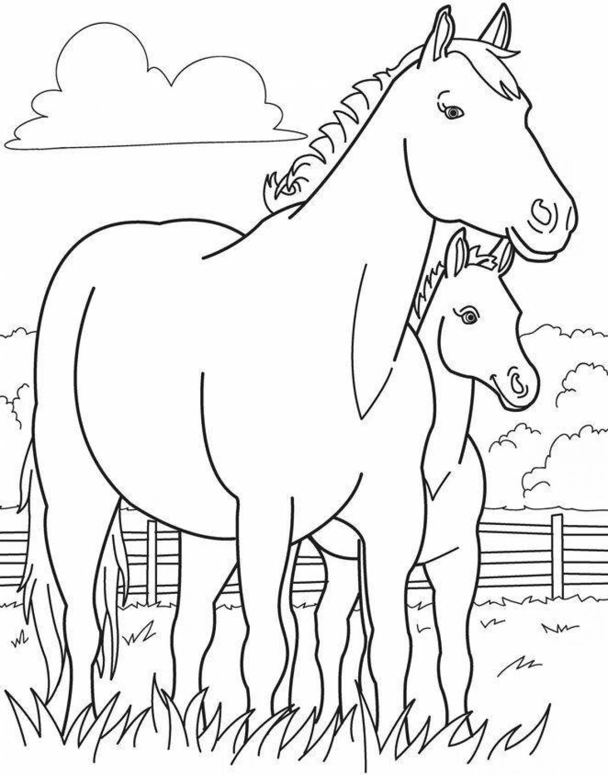 Раскрасить лошадку. Раскраска. Лошадка. Лошадка раскраска для детей. Лошадь раскраска для детей. Раскраска лошадь с жеребенком.