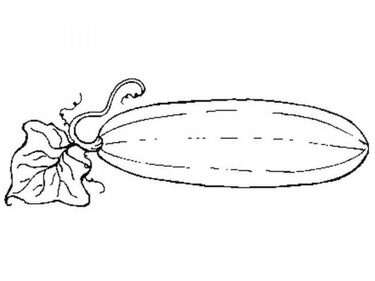 Кабачок картинка для детей раскраска