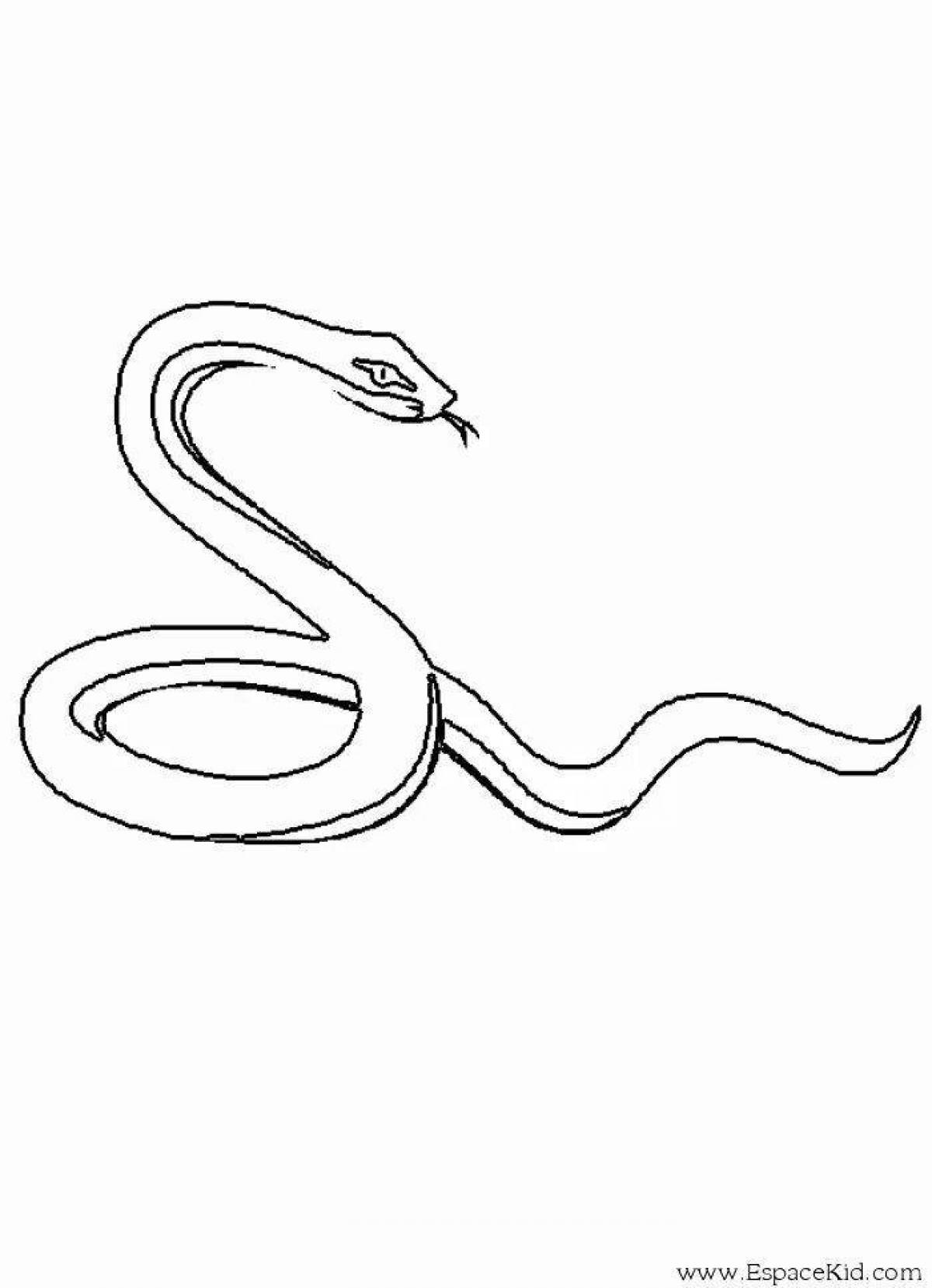 Змея медянка раскраска