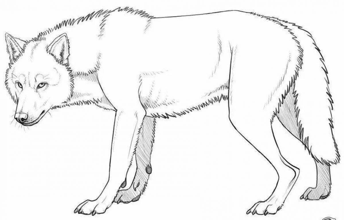 картинки тело волка