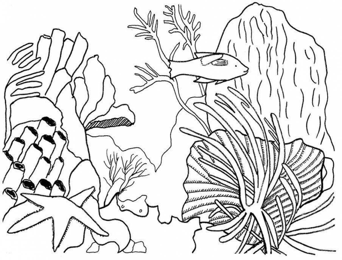 Морские рисунки карандашом. Раскраска морские водоросли. Коралловый риф раскраска. Морские водоросли раскраска для детей. Подводные растения раскраска.