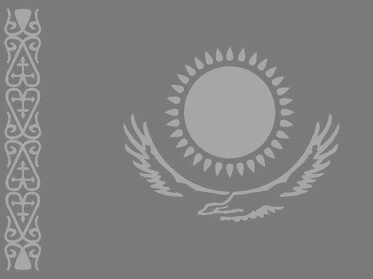 Замечательный флаг казахстана для младенцев