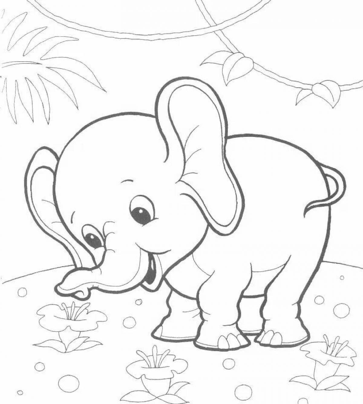 Charming coloring book for children animals of hot countries