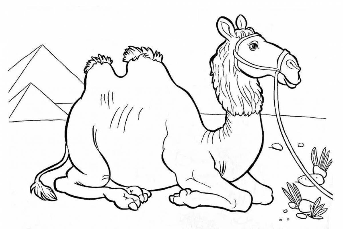 Amazing coloring pages for kids with animals from hot countries