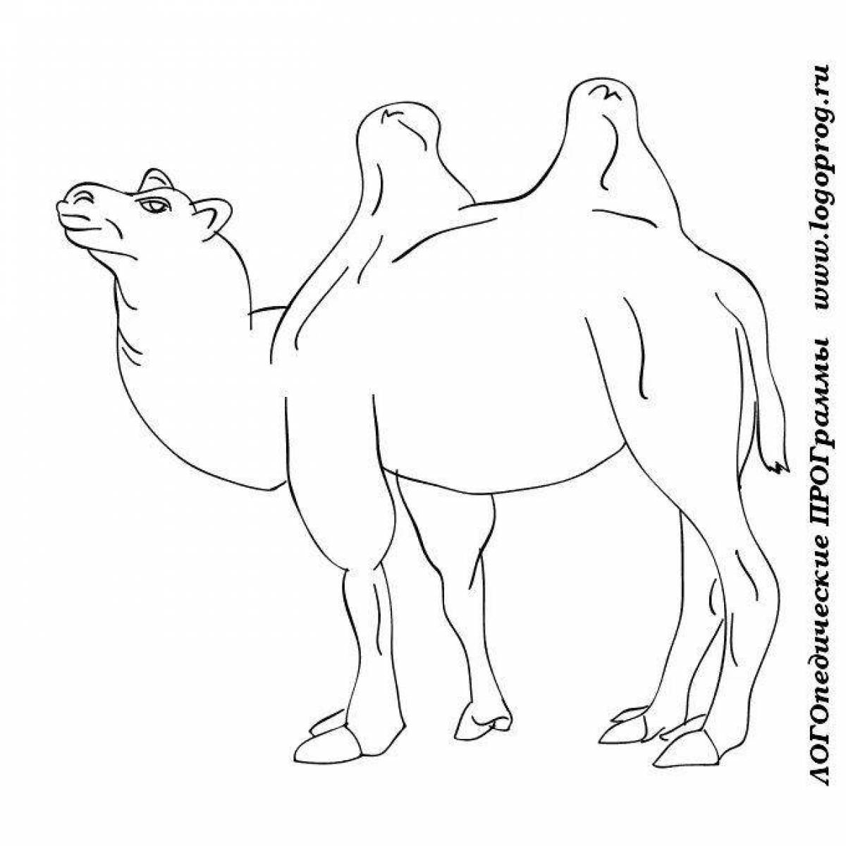 Incredible coloring book for kids with animals from hot countries