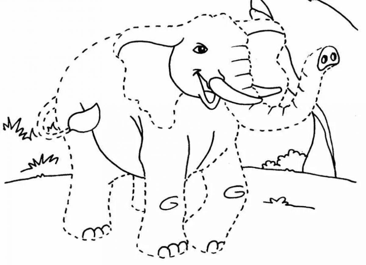 A wonderful coloring book for children animals of hot countries