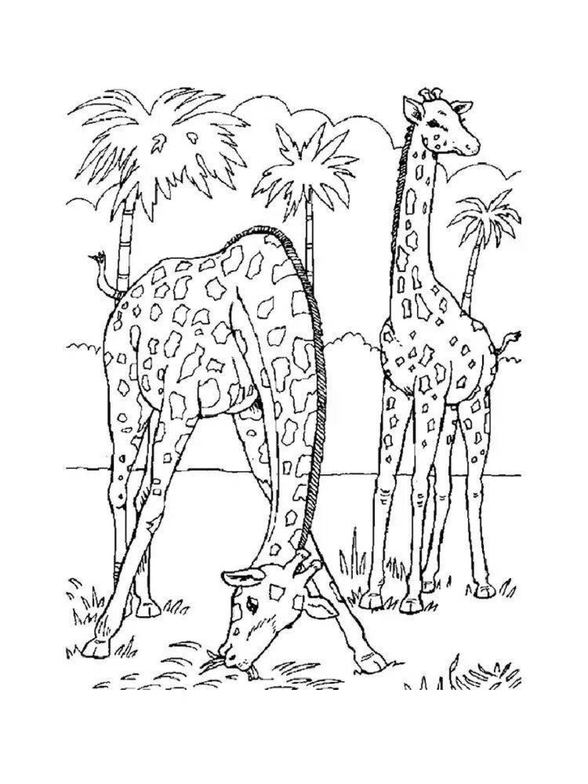 Amazing coloring pages for kids with animals from hot countries