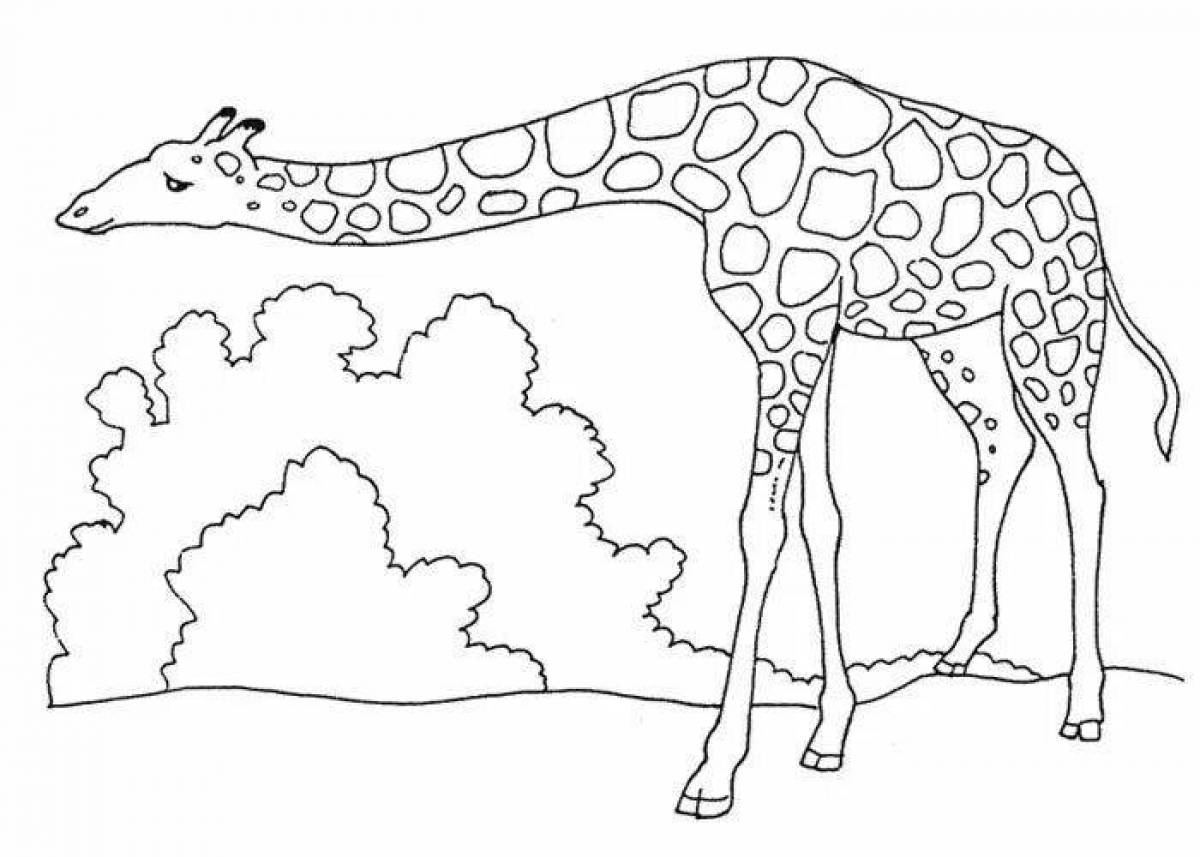 Adorable coloring book for kids with animals from hot countries