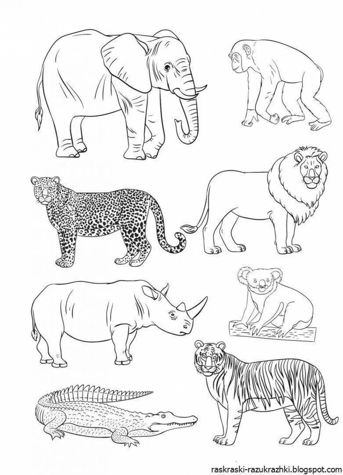 Complex coloring for children with animals from hot countries