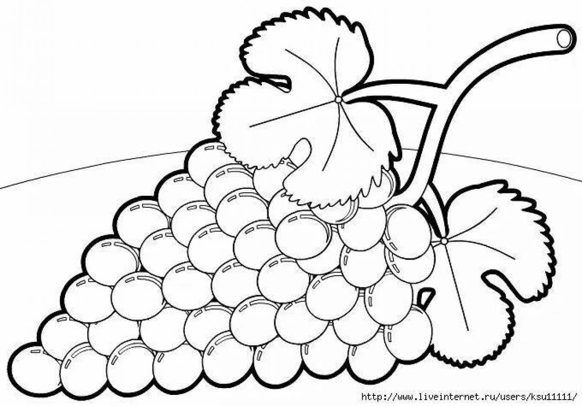 Fresh berries coloring page