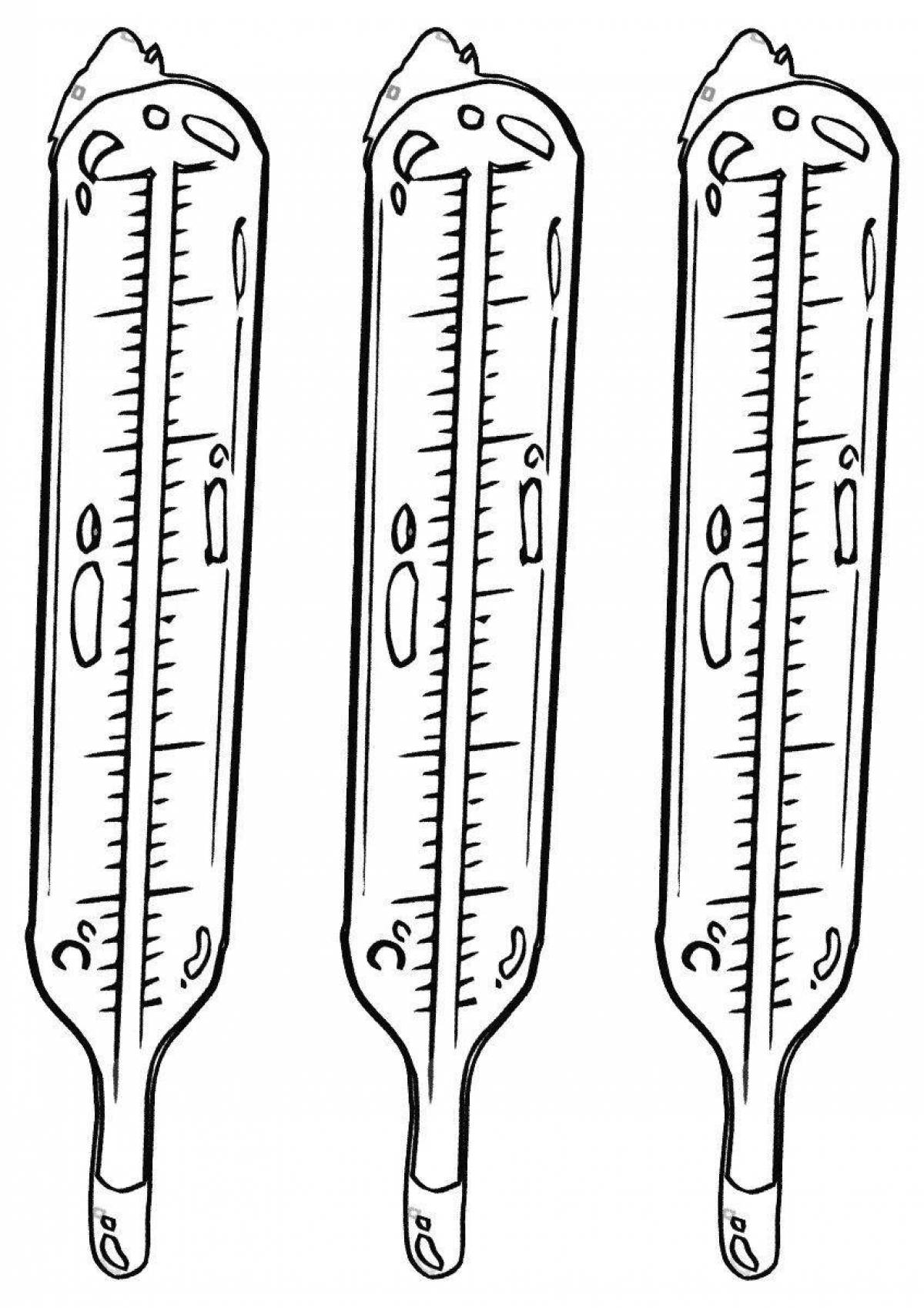 Thermometer #13