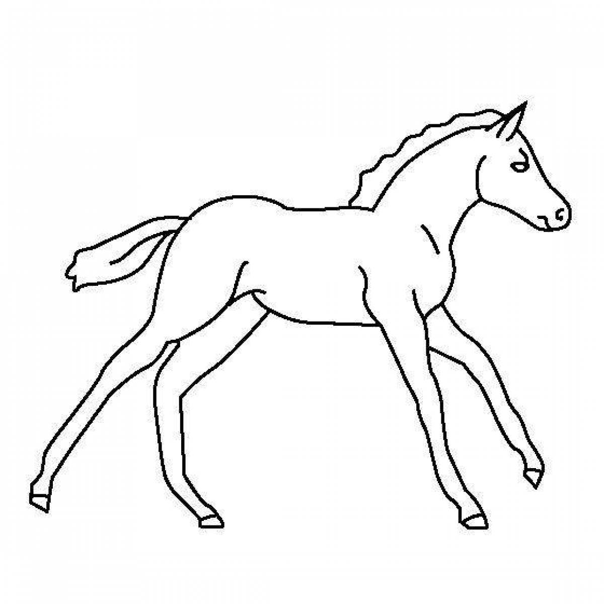 Coloring page of a foal