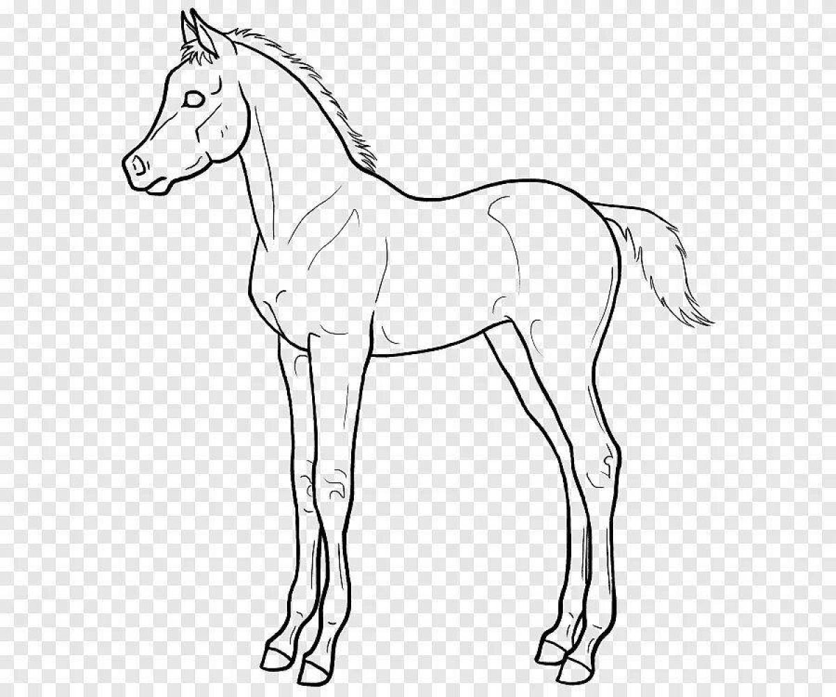 Adorable foal coloring page