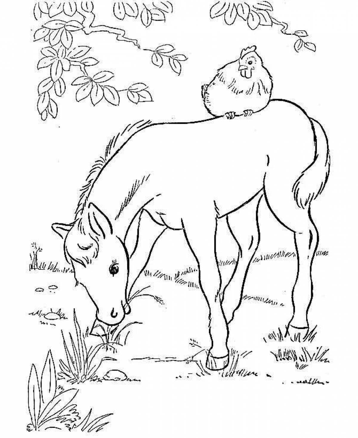 Exotic foal coloring page
