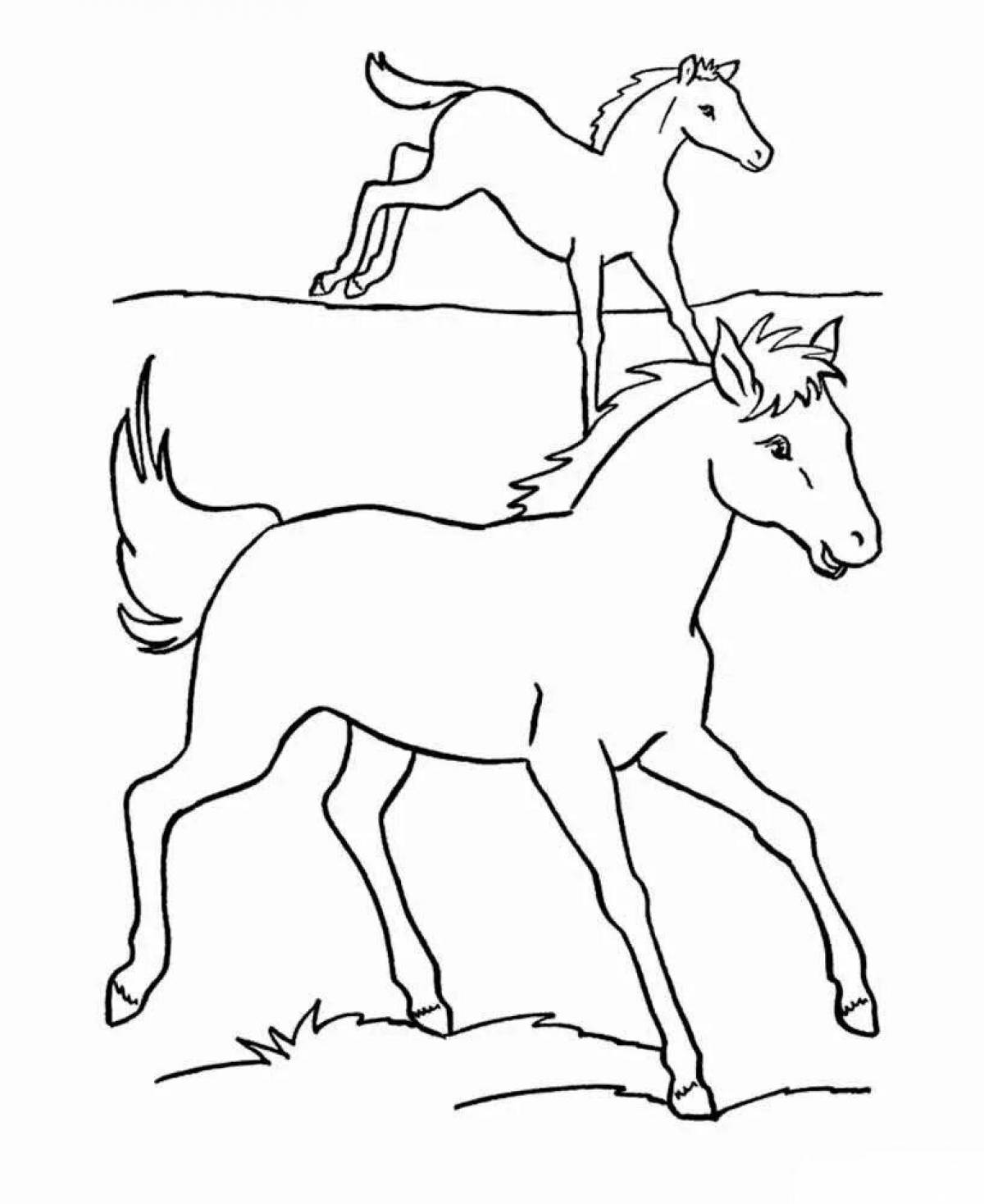 Silly foal coloring page