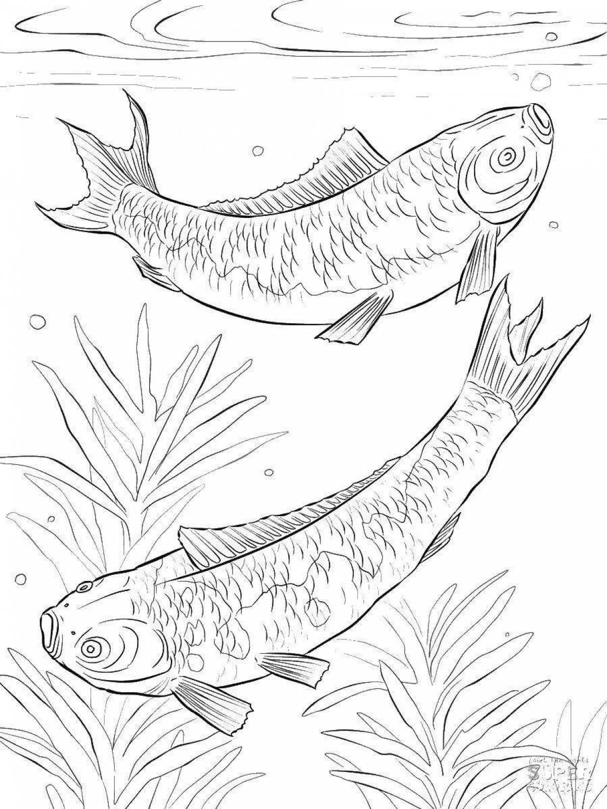 Radiant Baikal coloring page
