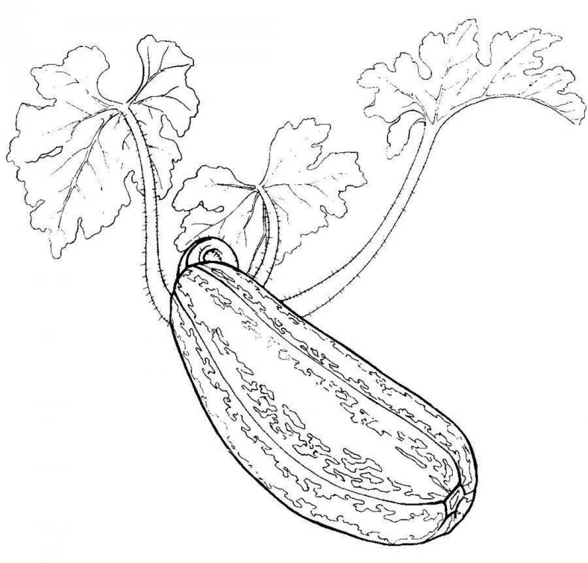 Colorful zucchini coloring page